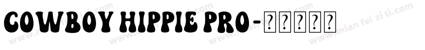 Cowboy Hippie Pro字体转换